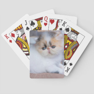 Niedliche Kleintiere   Calico Persian Kitten Spielkarten
