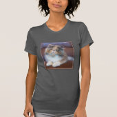 Niedliche Kleintiere | Calico Persian Kitten T-Shirt (Vorderseite)