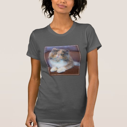 Niedliche Kleintiere | Calico Persian Kitten T-Shirt (Vorderseite)