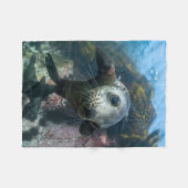 Niedliche Kleintiere | Cape-Fur-Siegel Fleecedecke (Vorderseite (Horizontal))