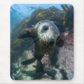 Niedliche Kleintiere | Cape-Fur-Siegel Mousepad (Vorne)