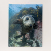 Niedliche Kleintiere | Cape-Fur-Siegel Puzzle (Vertikal)