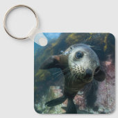 Niedliche Kleintiere | Cape-Fur-Siegel Schlüsselanhänger (Vorderseite)