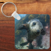 Niedliche Kleintiere | Cape-Fur-Siegel Schlüsselanhänger (Vorderseite)