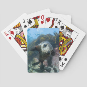 Niedliche Kleintiere Cape-Fur-Siegel Spielkarten