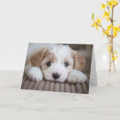 Niedliche Kleintiere | Cavashon Puppy Karte (Gelbe Blume)