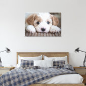 Niedliche Kleintiere | Cavashon Puppy Leinwanddruck (Insitu (Schlafzimmer))