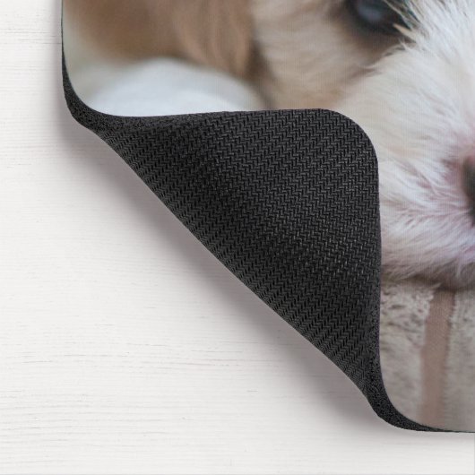 Niedliche Kleintiere | Cavashon Puppy Mousepad (Ecke)