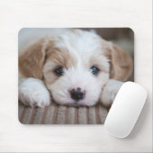 Niedliche Kleintiere | Cavashon Puppy Mousepad (Mit Mouse)