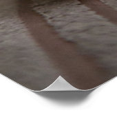 Niedliche Kleintiere | Cavashon Puppy Poster (Ecke)