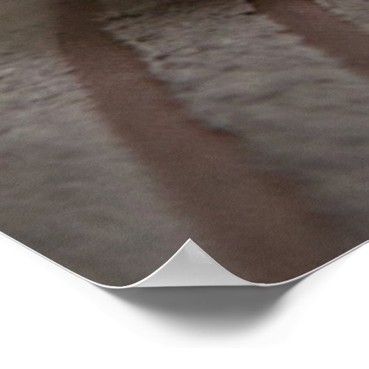 Niedliche Kleintiere | Cavashon Puppy Poster (Ecke)