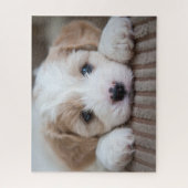 Niedliche Kleintiere | Cavashon Puppy Puzzle (Vertikal)