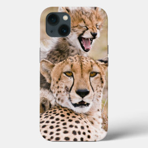Niedliche Kleintiere   Cheetah Cat & Cub Case-Mate iPhone Hülle