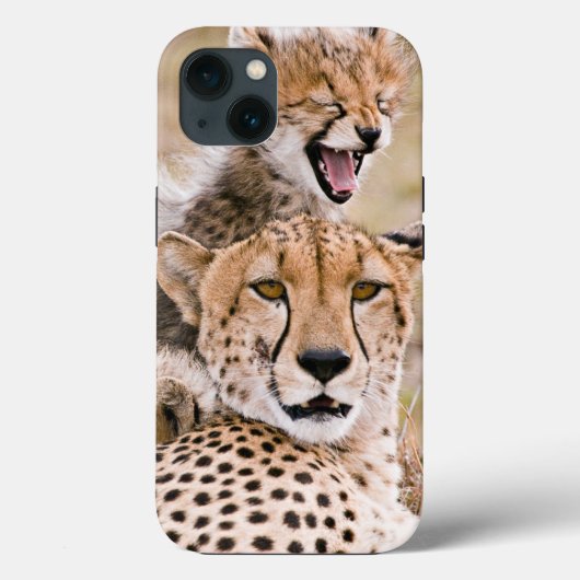 Niedliche Kleintiere | Cheetah Cat & Cub Case-Mate iPhone Hülle (Rückseite)