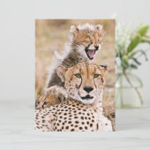 Niedliche Kleintiere | Cheetah Cat & Cub Dankeskarte (Stehend Vorderseite)