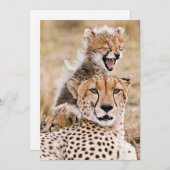 Niedliche Kleintiere | Cheetah Cat & Cub Dankeskarte (Vorne/Hinten)