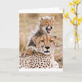 Niedliche Kleintiere | Cheetah Cat & Cub Karte (Gelbe Blume)