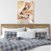 Niedliche Kleintiere | Cheetah Cat & Cub Leinwanddruck (Insitu (Schlafzimmer))