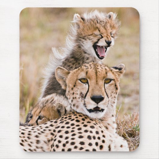 Niedliche Kleintiere | Cheetah Cat & Cub Mousepad (Vorne)