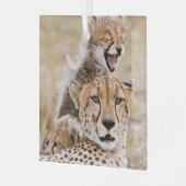 Niedliche Kleintiere | Cheetah Cat & Cub Ornament Aus Glas (Vorderseite links)