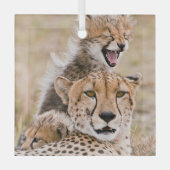 Niedliche Kleintiere | Cheetah Cat & Cub Ornament Aus Glas (Vorderseite)