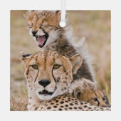 Niedliche Kleintiere | Cheetah Cat & Cub Ornament Aus Glas (Rückseite)