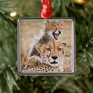 Niedliche Kleintiere Cheetah Cat & Cub Ornament Aus Metall