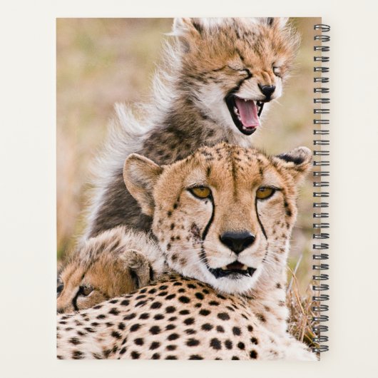 Niedliche Kleintiere | Cheetah Cat & Cub Planer (Rückseite)