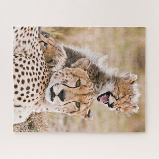 Niedliche Kleintiere | Cheetah Cat & Cub Puzzle (Horizontal)