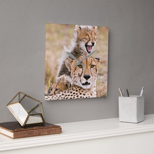 Niedliche Kleintiere | Cheetah Cat & Cub Quadratische Wanduhr (Büro)