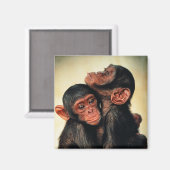 Niedliche Kleintiere | Chimpanzee Hug Magnet (Vorderseite/Rückseite)