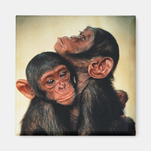 Niedliche Kleintiere Chimpanzee Hug Magnet