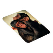 Niedliche Kleintiere | Chimpanzee Hug Magnet (Rechte Seite)