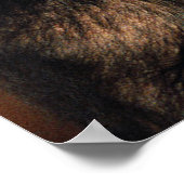 Niedliche Kleintiere | Chimpanzee Hug Poster (Ecke)