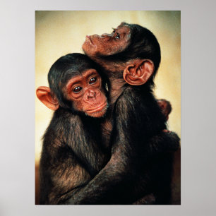Niedliche Kleintiere Chimpanzee Hug Poster