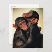 Niedliche Kleintiere | Chimpanzee Hug Postkarte (Vorne/Hinten)