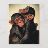 Niedliche Kleintiere | Chimpanzee Hug Postkarte (Vorderseite)