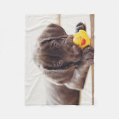 Niedliche Kleintiere | Chocolate Labrador Puppy Fleecedecke (Vorderseite)