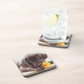 Niedliche Kleintiere | Chocolate Labrador Puppy Getränkeuntersetzer (Rechte Seite)