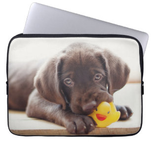 Niedliche Kleintiere Chocolate Labrador Puppy Laptopschutzhülle