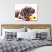 Niedliche Kleintiere | Chocolate Labrador Puppy Leinwanddruck (Insitu (Schlafzimmer))