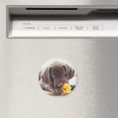 Niedliche Kleintiere | Chocolate Labrador Puppy Magnet (In Situ (Geschirrspüler))