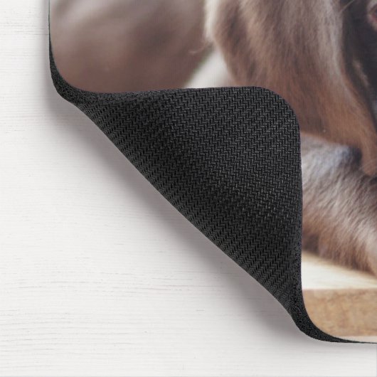 Niedliche Kleintiere | Chocolate Labrador Puppy Mousepad (Ecke)