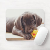 Niedliche Kleintiere | Chocolate Labrador Puppy Mousepad (Mit Mouse)