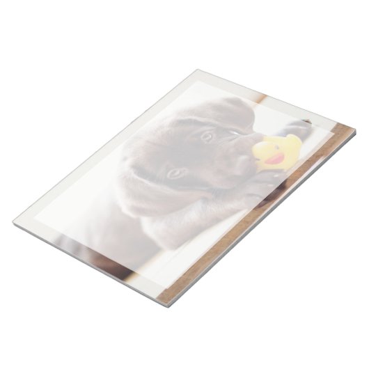 Niedliche Kleintiere | Chocolate Labrador Puppy Notizblock (angewinkelt)