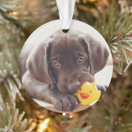 Niedliche Kleintiere | Chocolate Labrador Puppy Ornament (Baum)