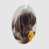 Niedliche Kleintiere | Chocolate Labrador Puppy Ornament (Vorderseite)