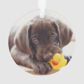 Niedliche Kleintiere | Chocolate Labrador Puppy Ornament (Rückseite)