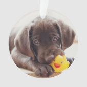 Niedliche Kleintiere | Chocolate Labrador Puppy Ornament (Vorderseite)