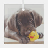 Niedliche Kleintiere | Chocolate Labrador Puppy Ornament Aus Glas (Vorderseite)